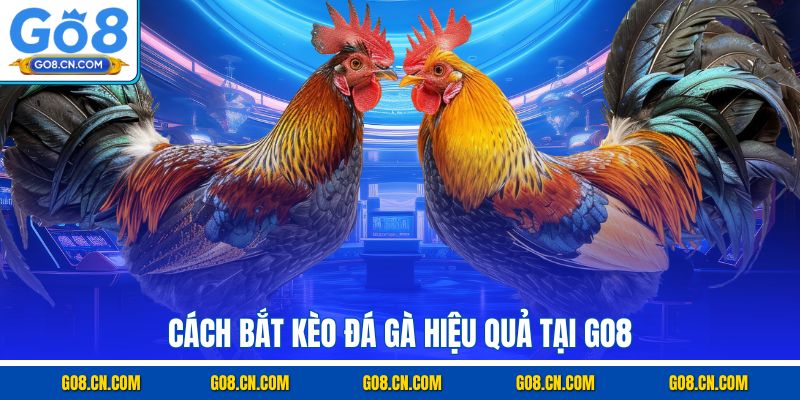 Cách bắt kèo đá gà hiệu quả tại GO8