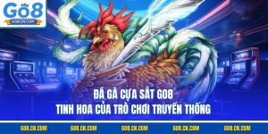 Đá gà cựa sắt go8 tinh hoa của trò chơi truyền thống